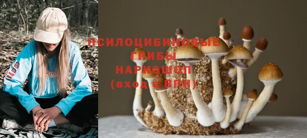 дмт Балабаново